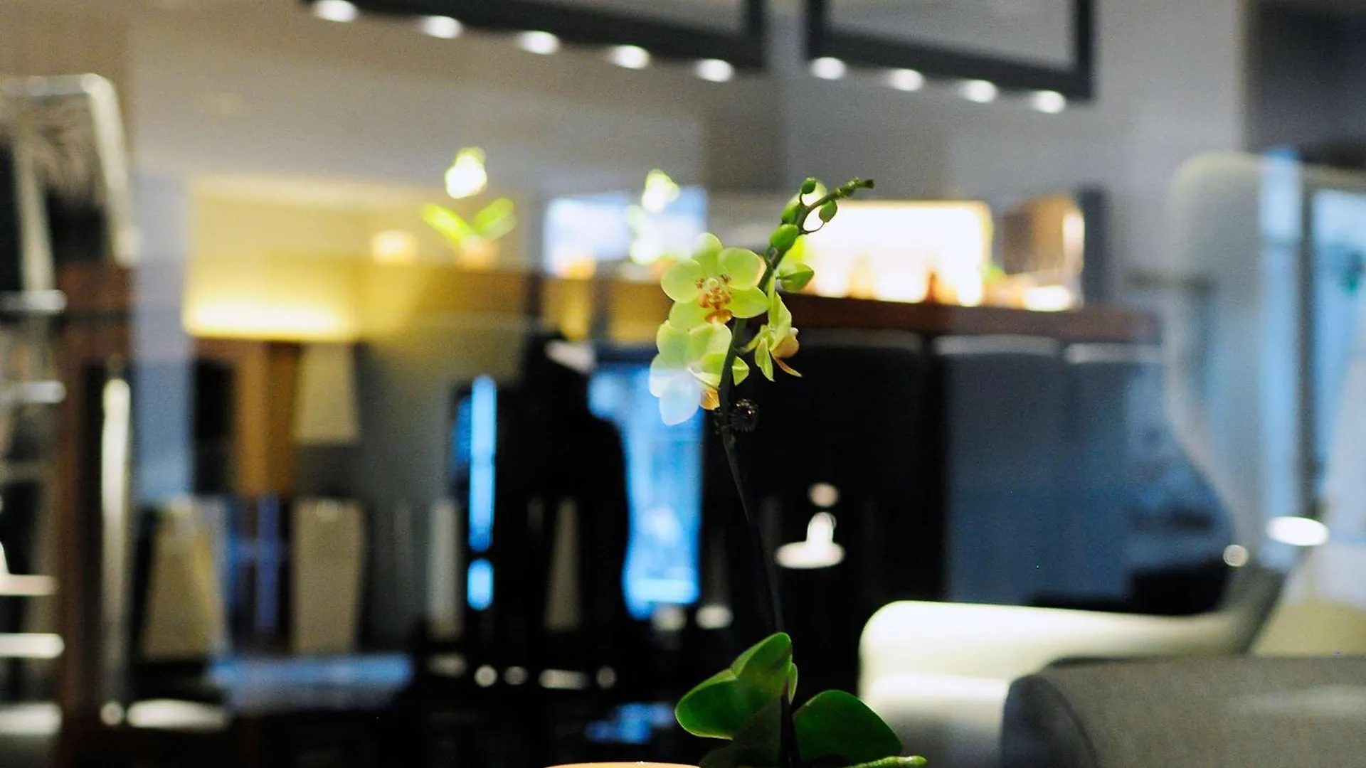 Pullman Eindhoven Cocagne Hotel